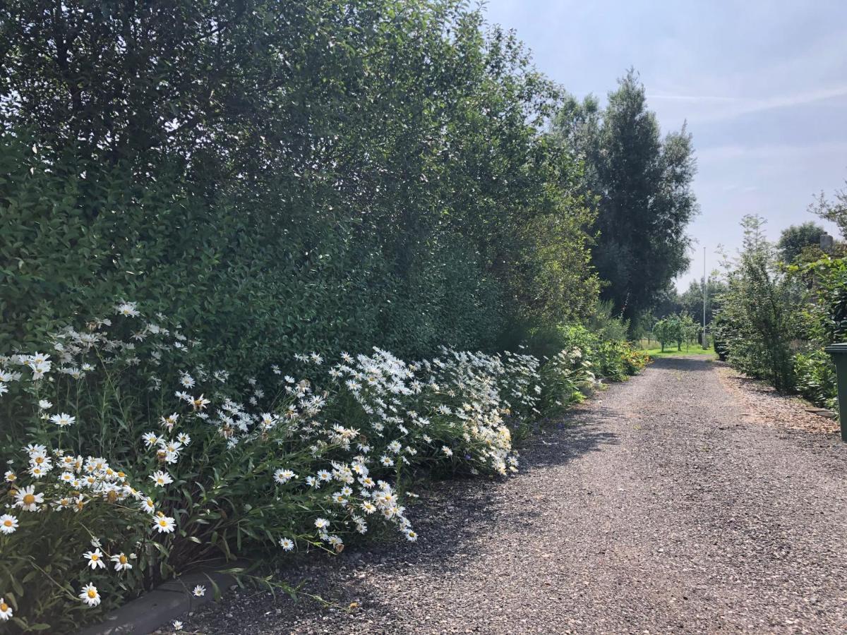 Butenom Oudwoude Eksteriør billede